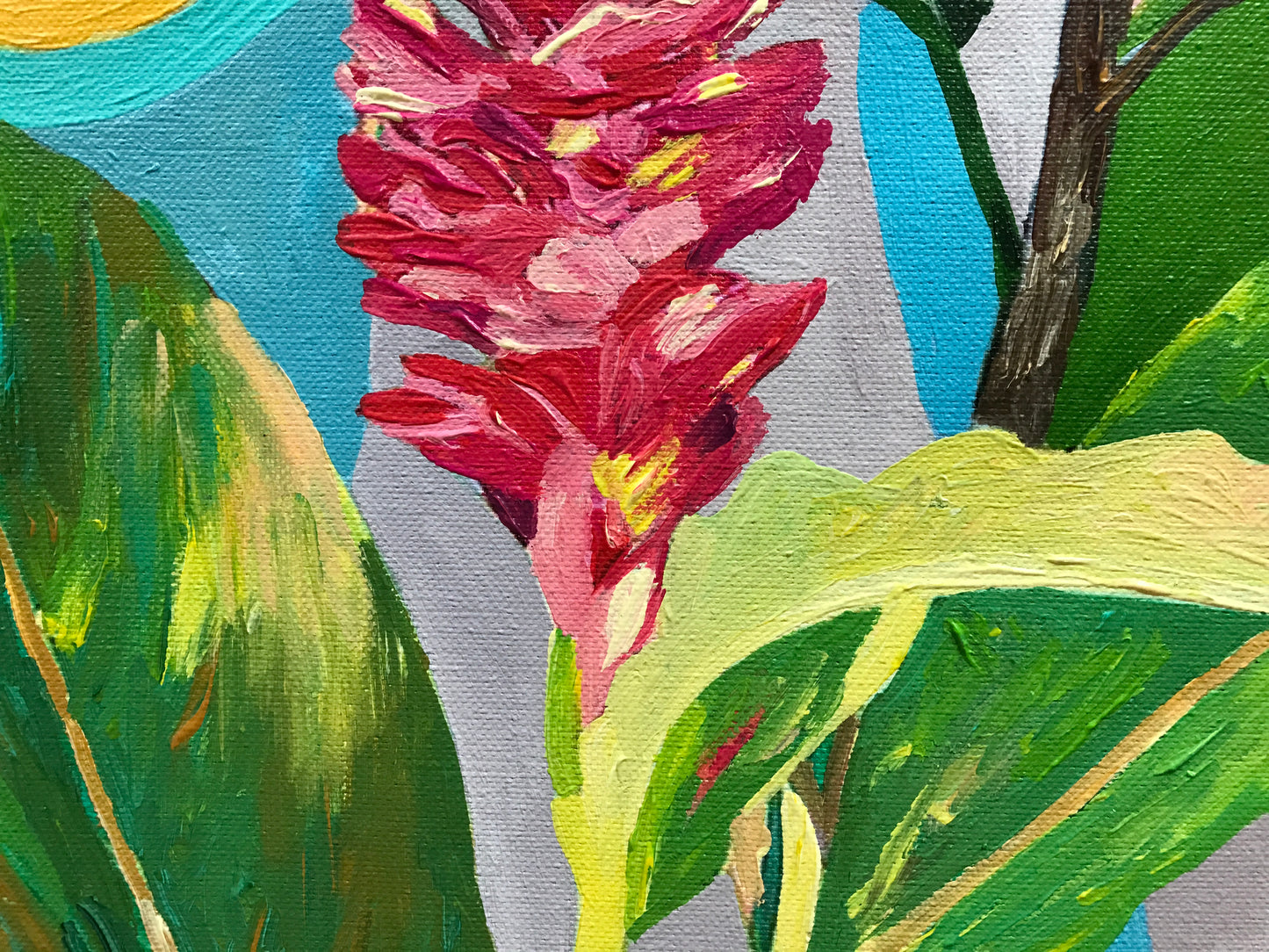 The Queen of the Tropics