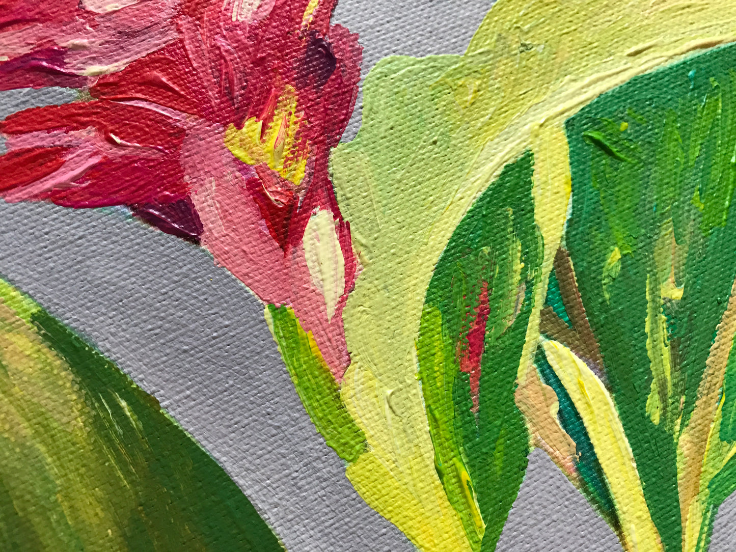 The Queen of the Tropics