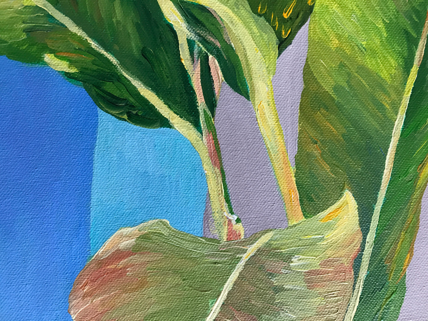 Tropical Dance