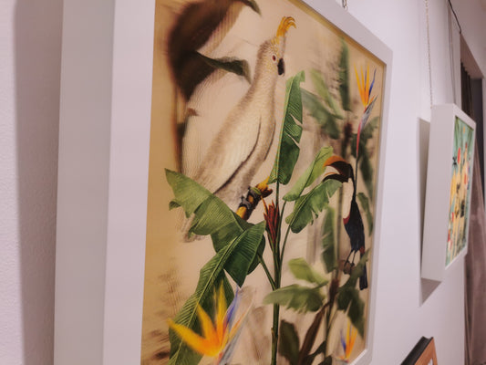 Cockatoo and Toucan - Souls of Light - Lenticular Collection