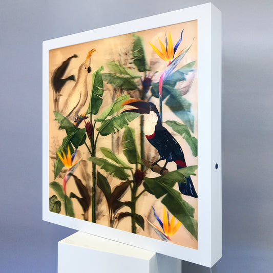 Cockatoo and Toucan - Souls of Light - Lenticular Collection