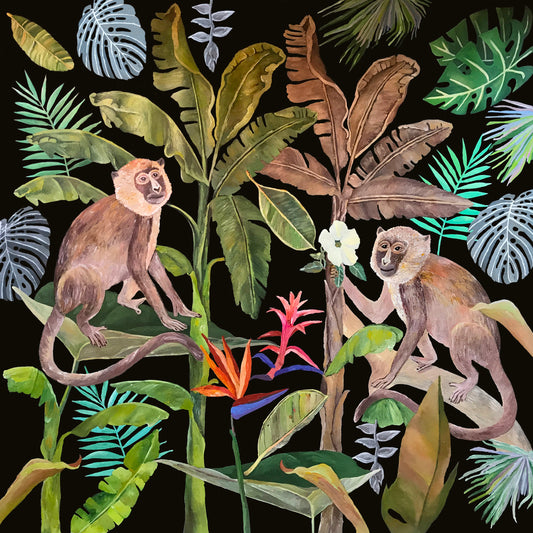 Two Monkeys and white Flower