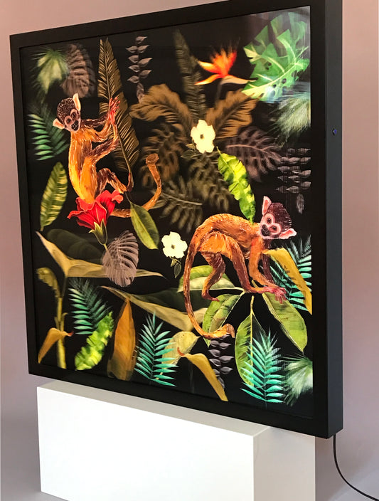 Jungle - Two Monkeys - Souls of Light - Lenticular Collection