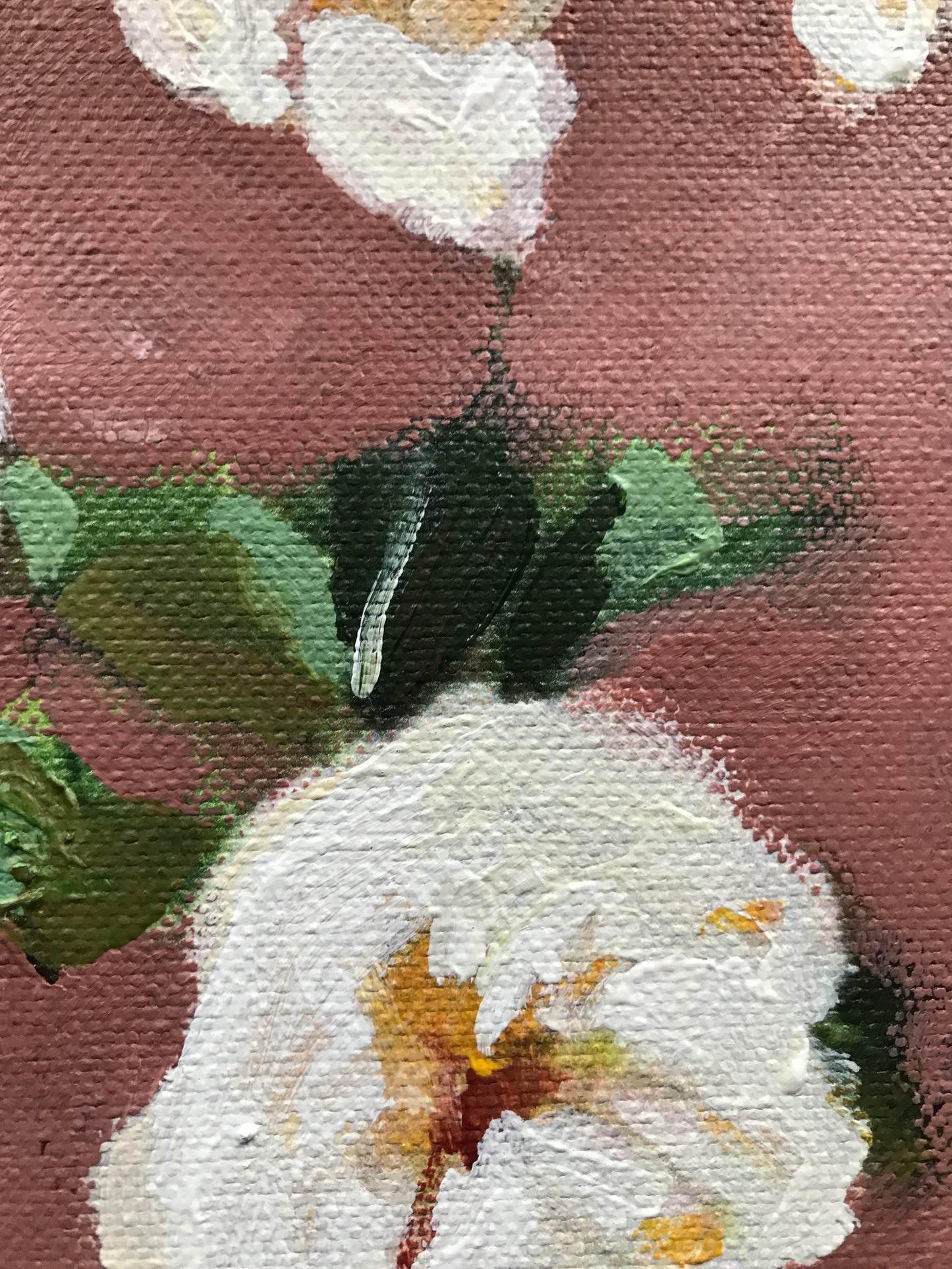Les Demoiselles des Fleurs N°2
