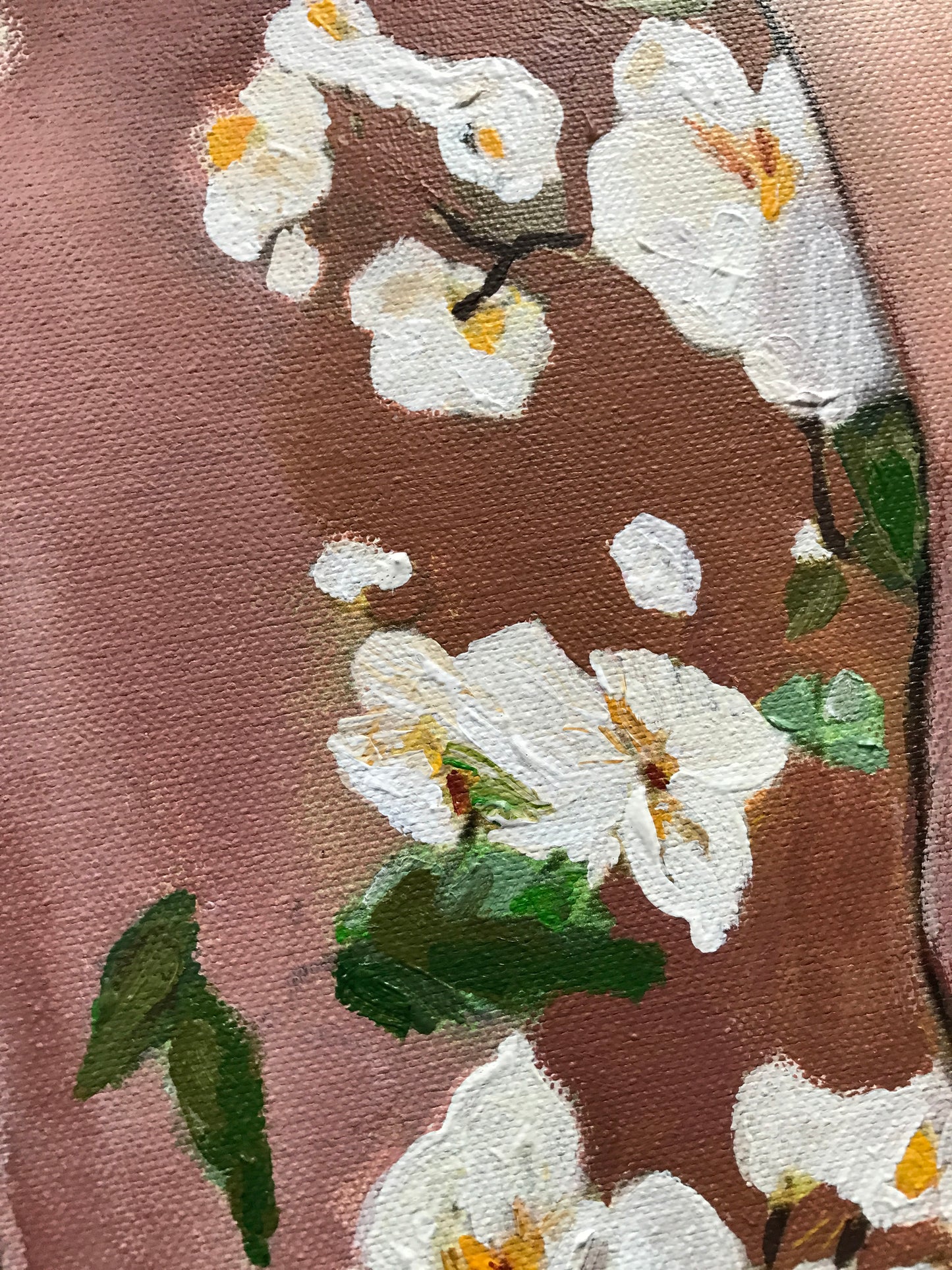 Les Demoiselles des Fleurs N°2
