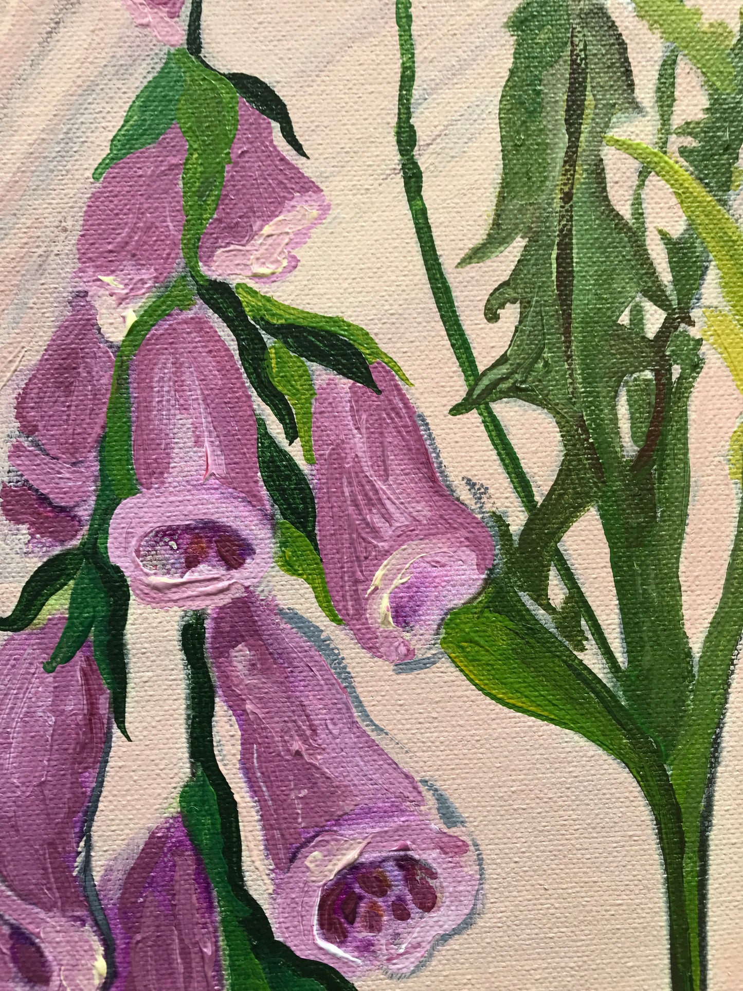 Les Demoiselles des Fleurs N°4