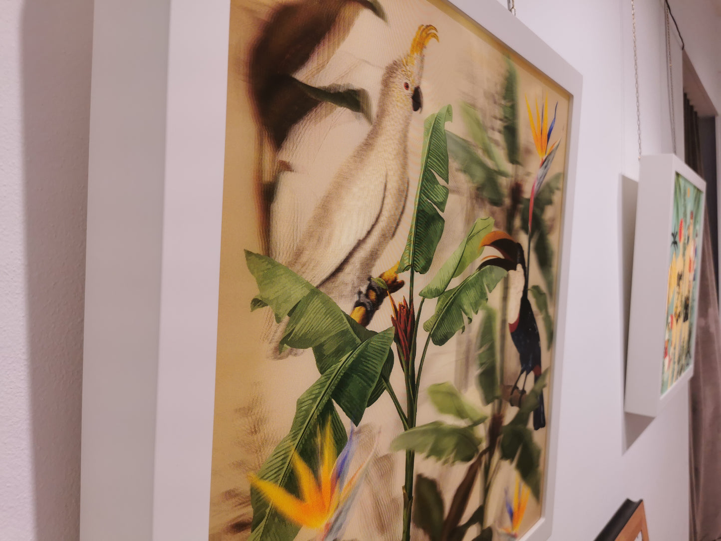 Cockatoo and Toucan - Souls of Light - Lenticular Collection