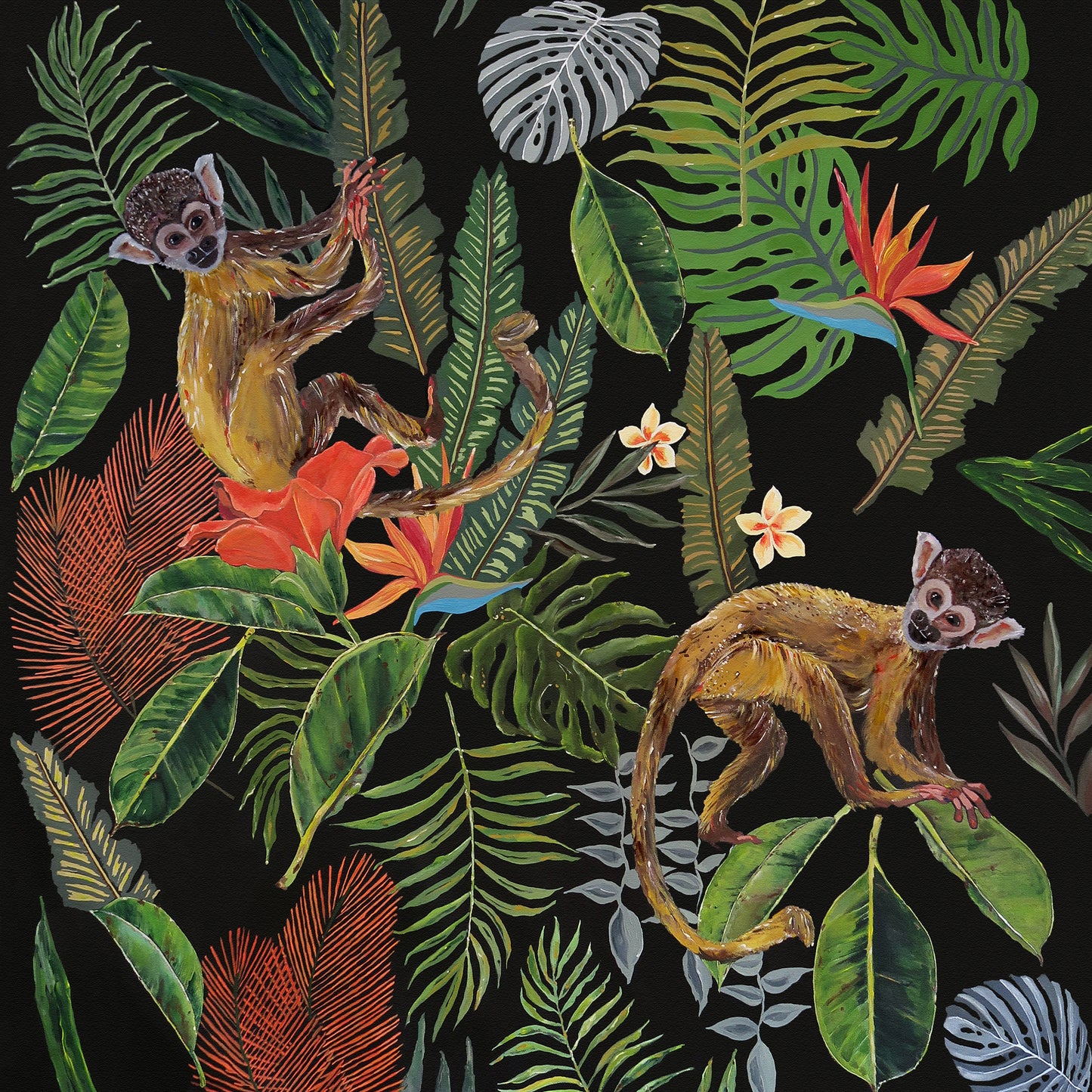 Jungle - Tropical - Monkeys